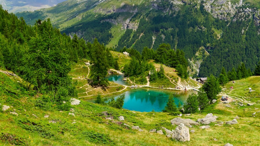 Vue panoramique du lac Léman et des montagnes en Suisse